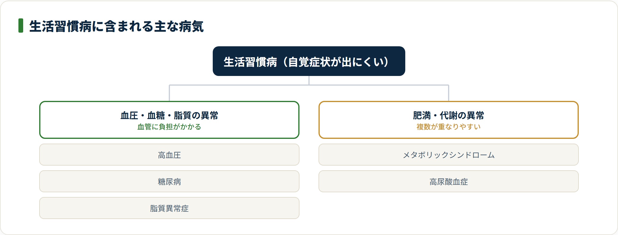 生活習慣病は高血圧・糖尿病・脂質異常症や、メタボ・高尿酸血症などに分類される