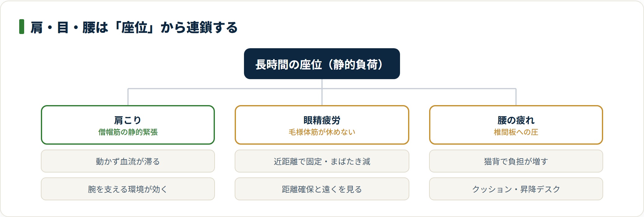 長時間の座位が肩・目・腰の疲れに枝分かれするしくみを示した分類図。