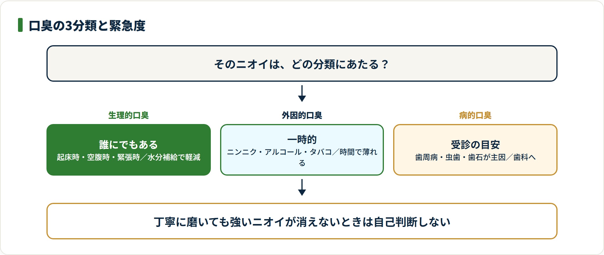 口臭は誰にでもある生理的口臭、食べ物などによる一時的な外因的口臭、歯周病などが背景にある病的口臭の3つに分かれ、病的口臭は受診の目安になることを示した図。