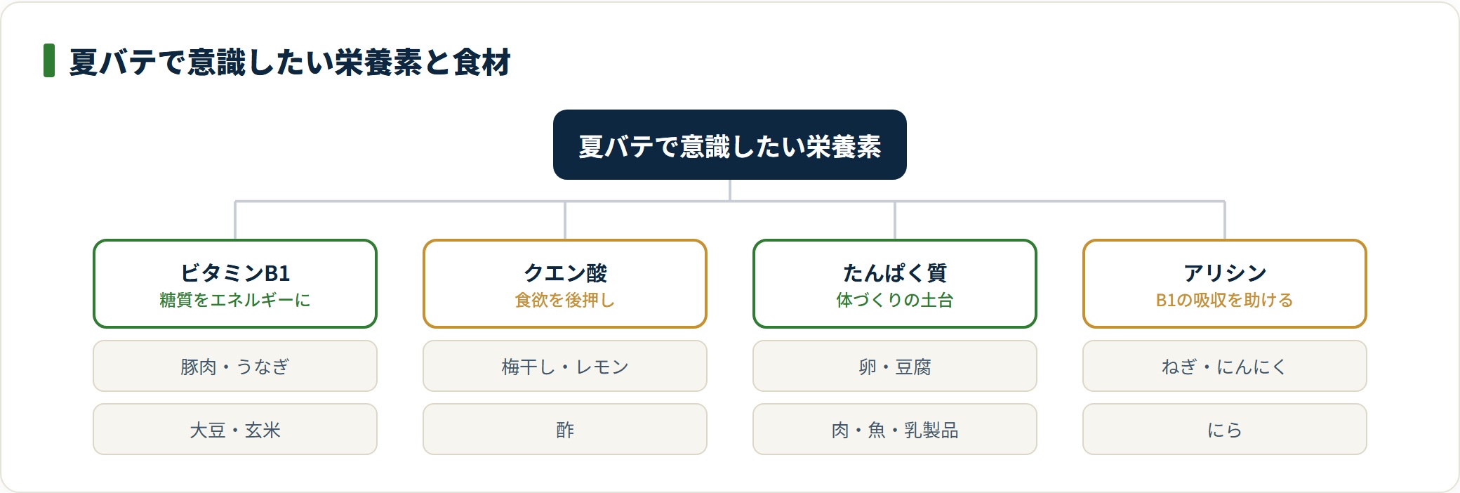 夏バテ対策で意識したい栄養素はビタミンB1・クエン酸・たんぱく質・アリシンで、豚肉と薬味と酸味を組み合わせると自然にそろうことを示した分類図。